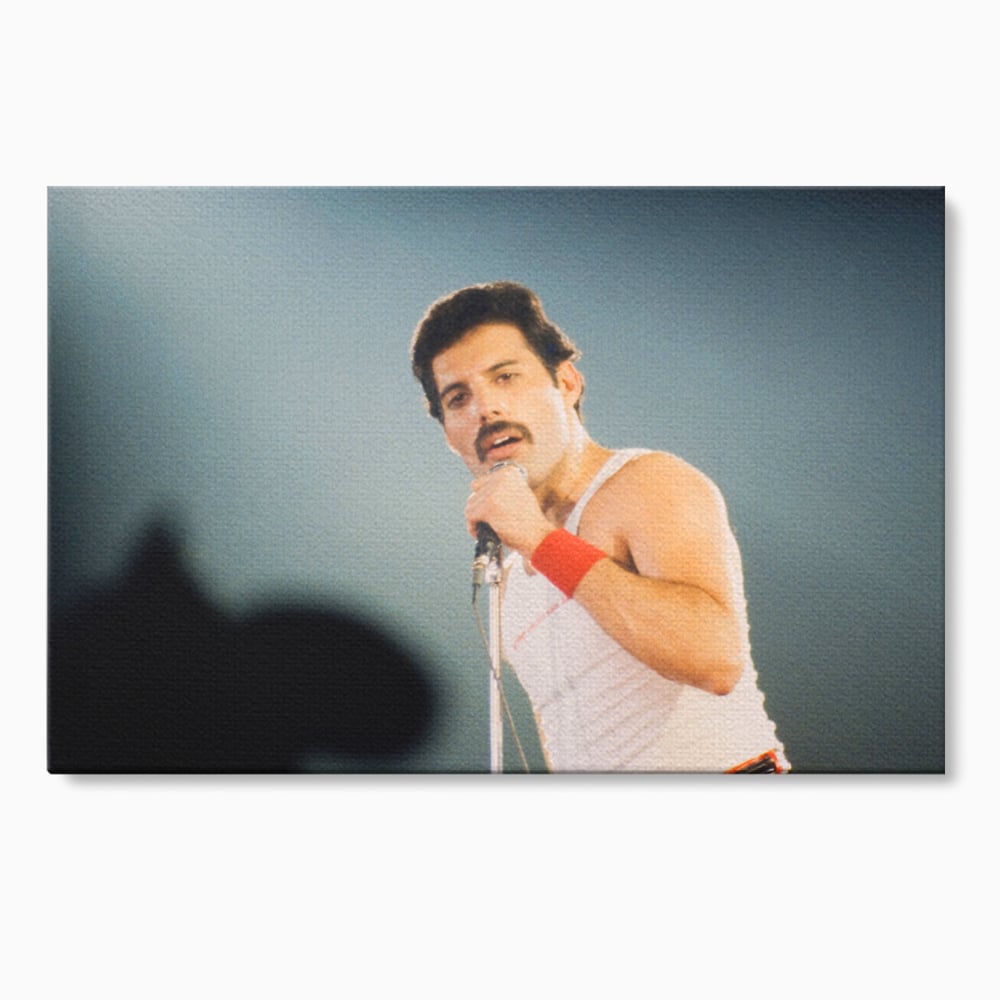 Tablou canvas cu tablou canvas cu freddie mercury, fara rama, pe sasiu de lemn